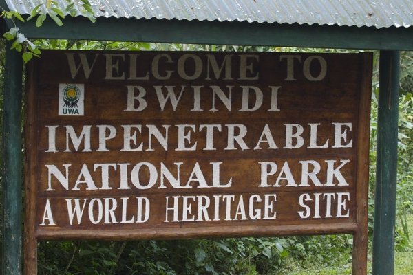 Bwindi-Impenetrable-National-Park-600×400